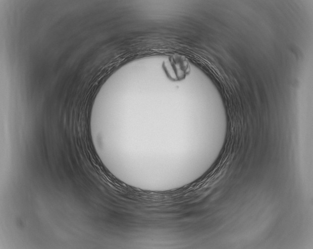 X0000111191298200907011000