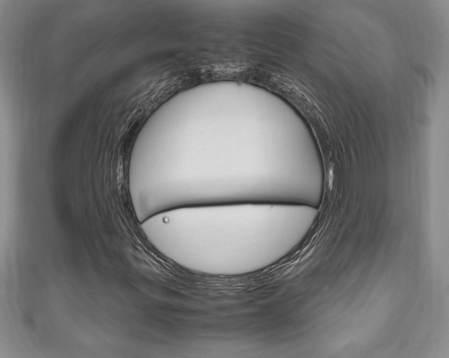 X0000111191299200907011000