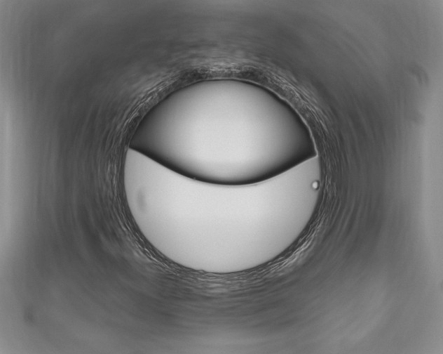 X0000111191300200907011000