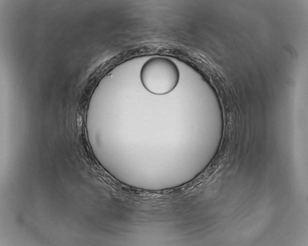 X0000111191302200907011000