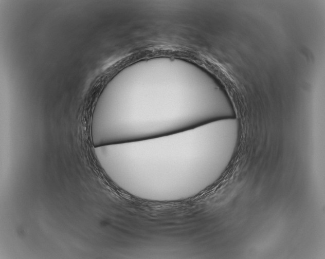 X0000111191303200907011000