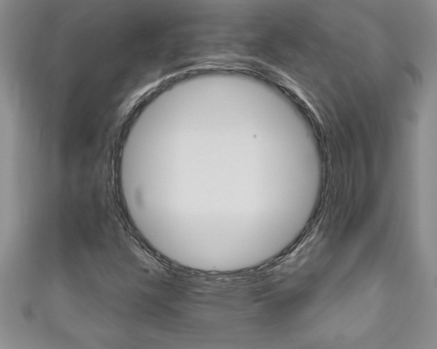 X0000111191304200907011000