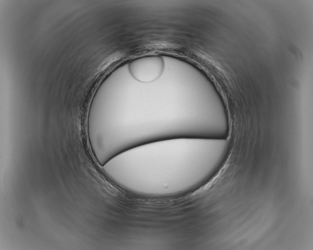 X0000111191305200907011000
