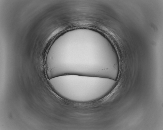 X0000111191306200907011000