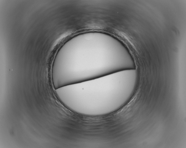 X0000111191307200907011000
