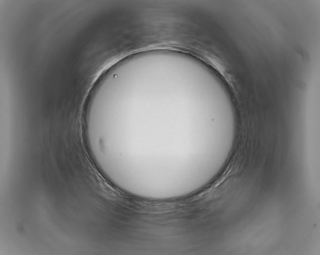 X0000111191308200907011000