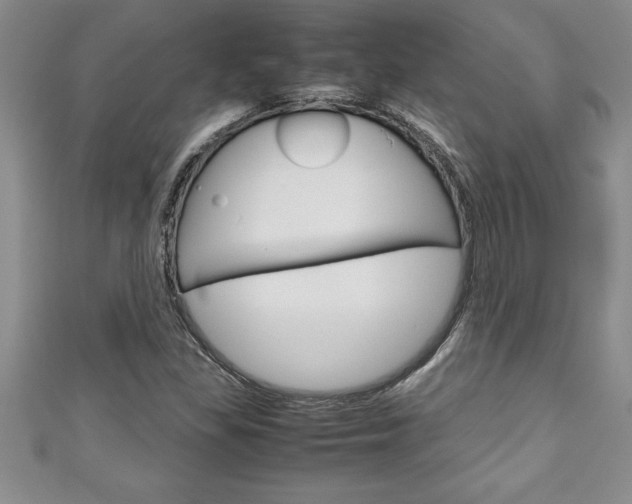 X0000111191309200907011000