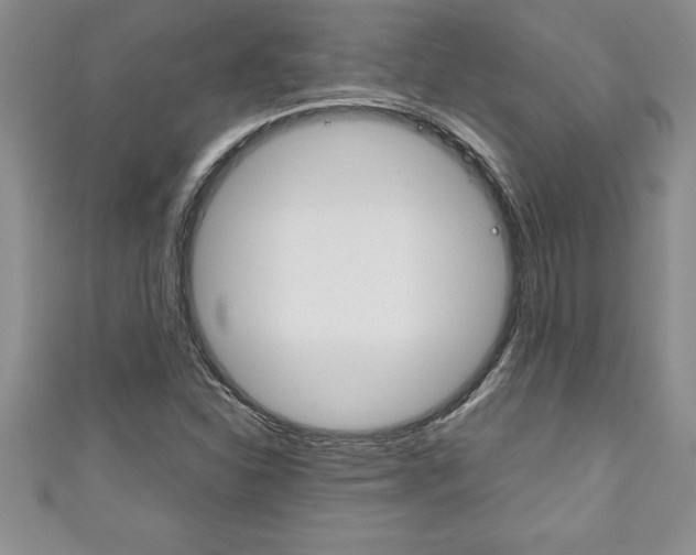 X0000111191310200907011000