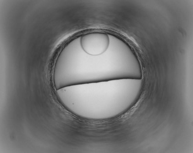 X0000111191311200907011000