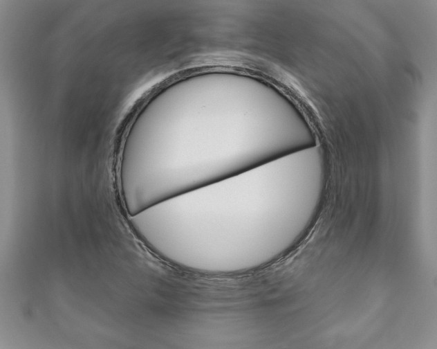 X0000111191312200907011001