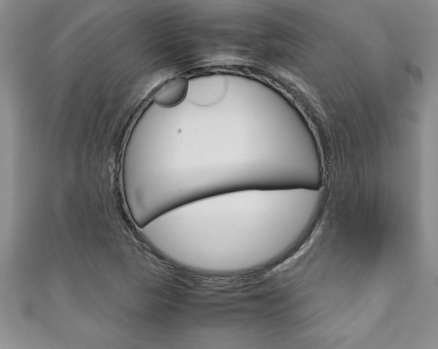 X0000111191313200907011001