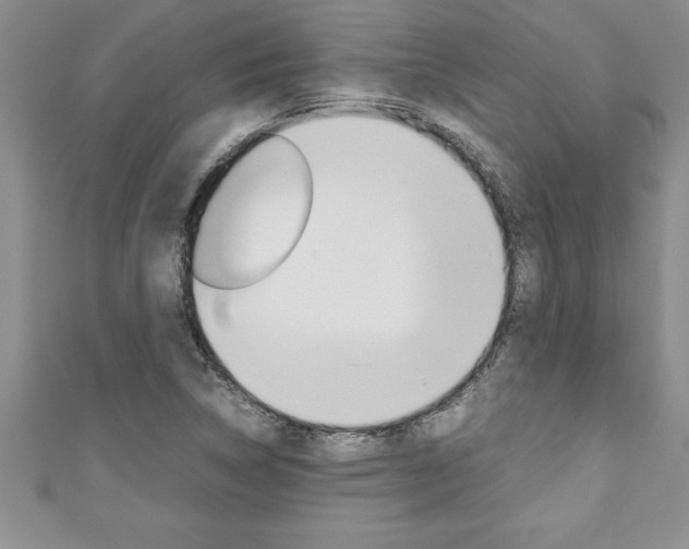 X0000111191314200907011001