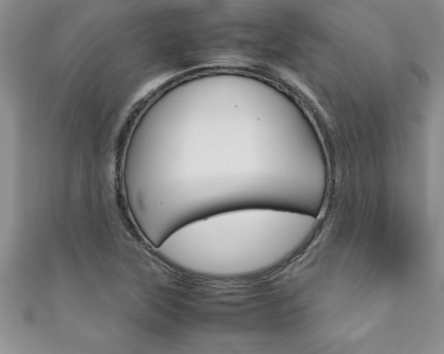 X0000111191315200907011001