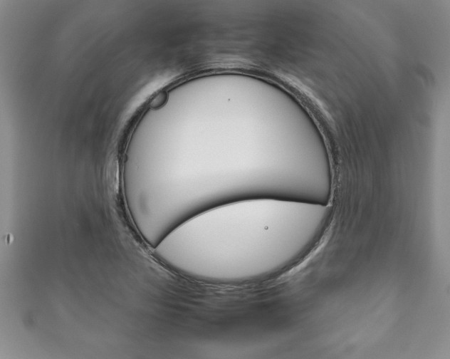 X0000111191317200907011001