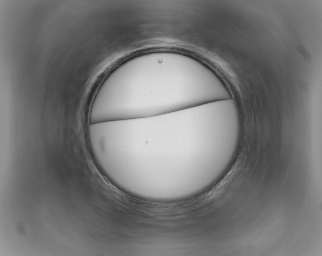 X0000111191318200907011001