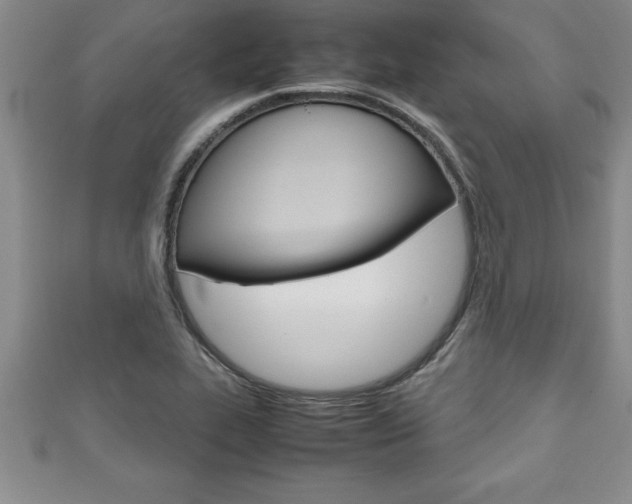 X0000111191319200907011001