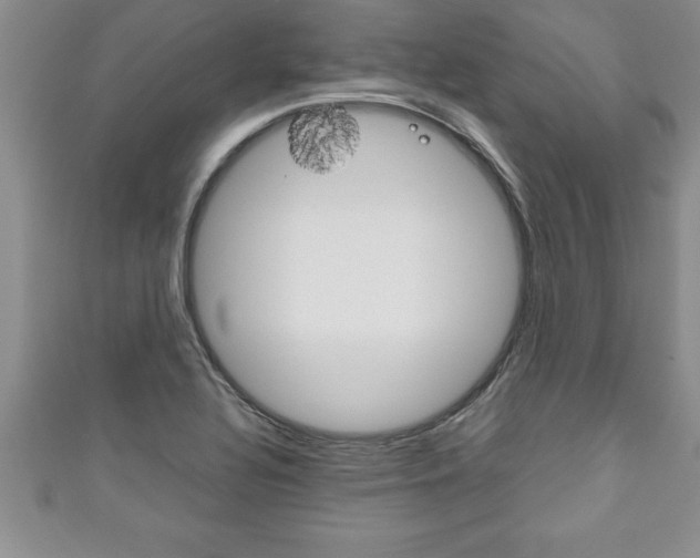X0000111191320200907011001