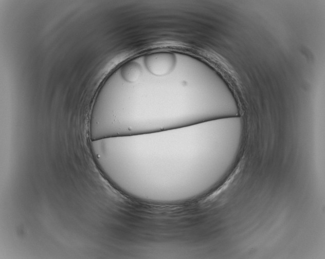 X0000111191321200907011001