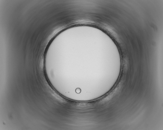 X0000111191322200907011001
