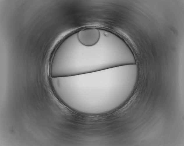 X0000111191323200907011001