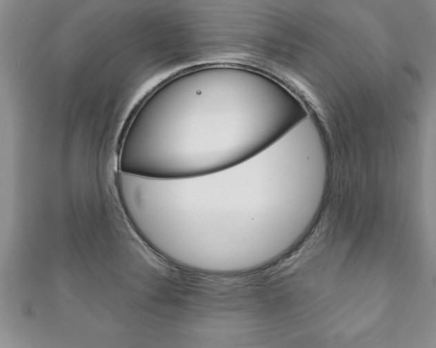 X0000111191324200907011001