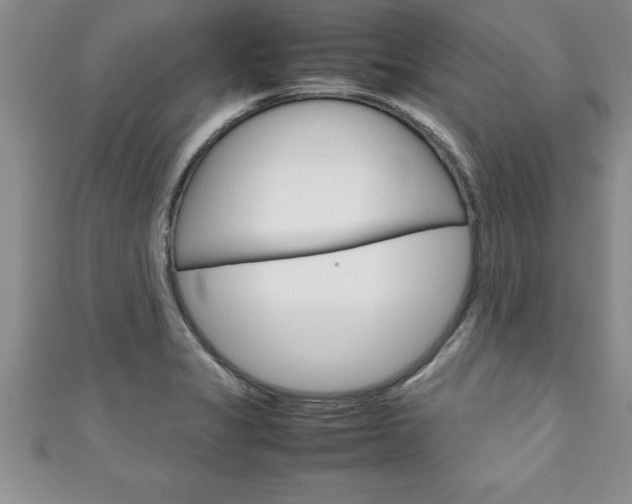 X0000111191325200907011001