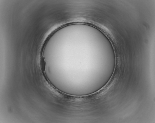 X0000111191326200907011001