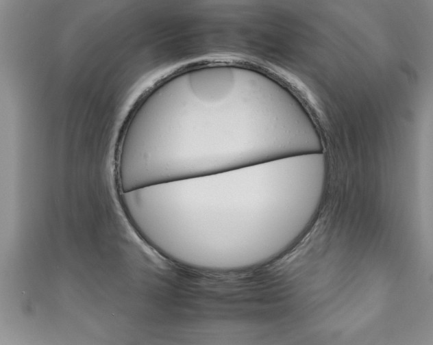 X0000111191327200907011001
