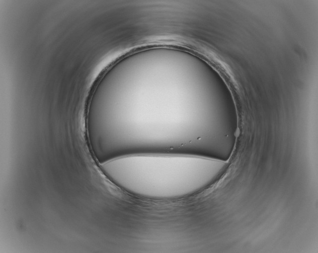 X0000111191328200907011001
