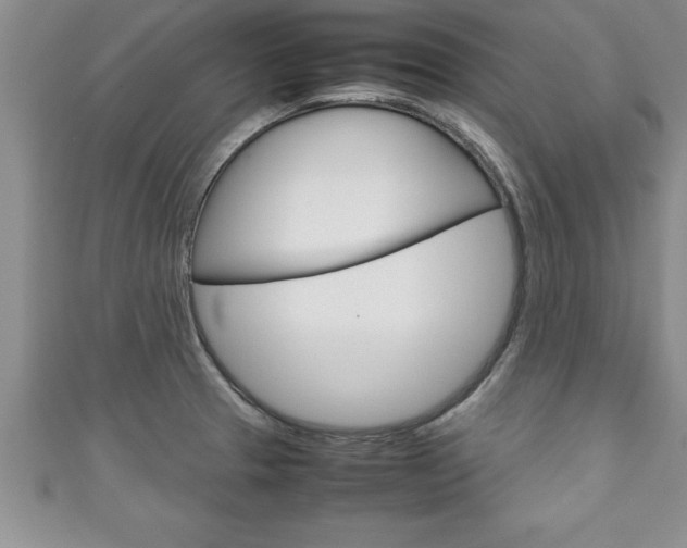 X0000111191329200907011001