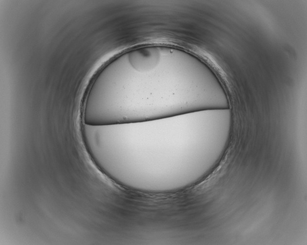 X0000111191331200907011001