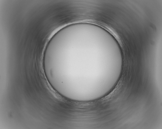 X0000111191332200907011001