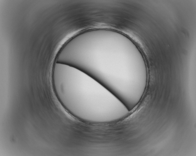X0000111191333200907011001