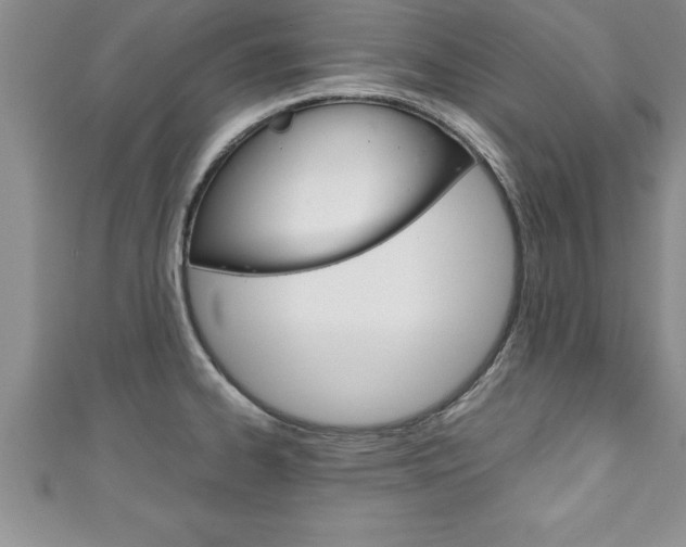 X0000111191334200907011001