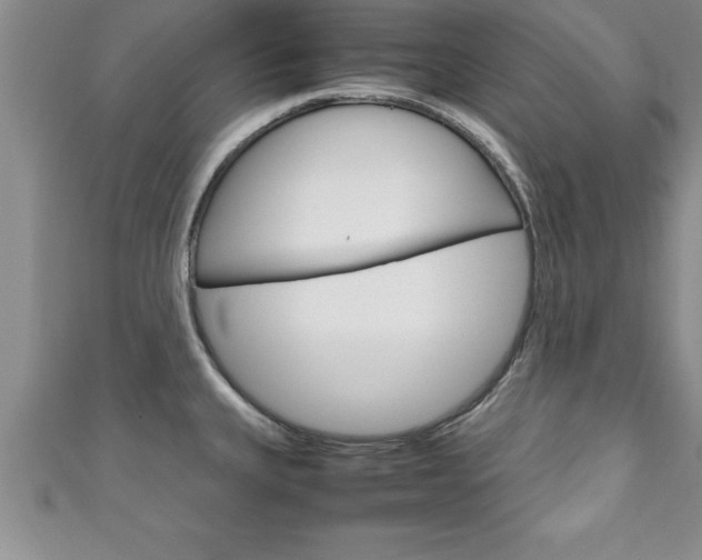 X0000111191335200907011001