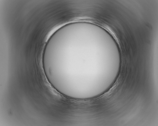 X0000111191336200907011001