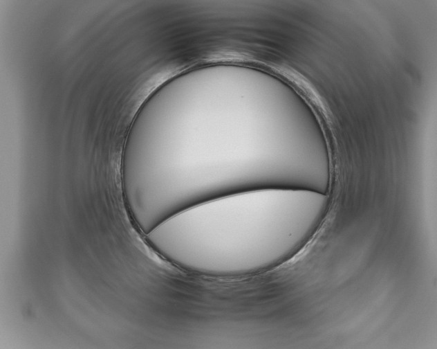 X0000111191337200907011001