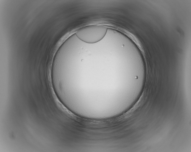 X0000111191338200907011001