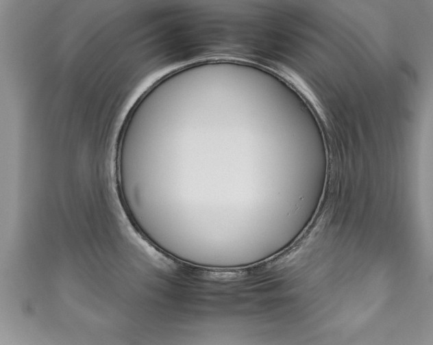 X0000111191339200907011001
