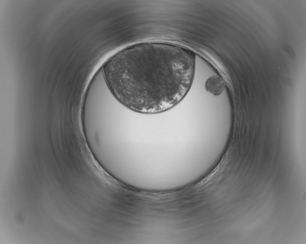 X0000111191340200907011001