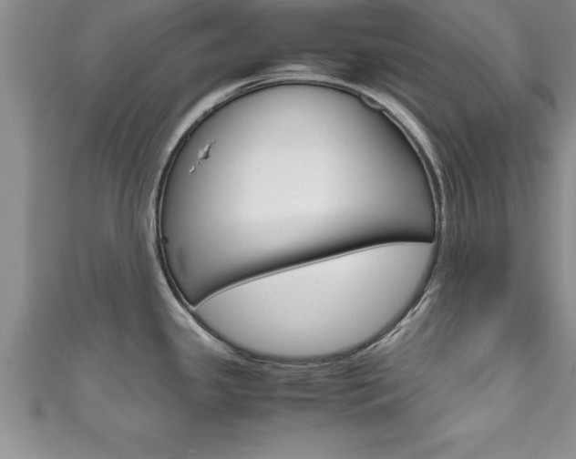 X0000111191341200907011001