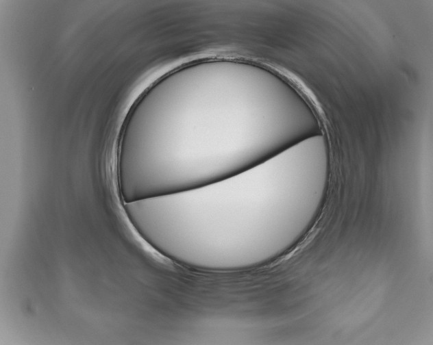 X0000111191343200907011001
