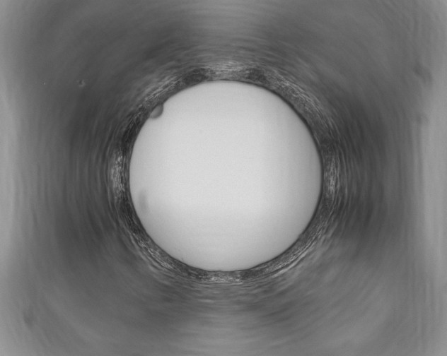 X0000111191346200907011000