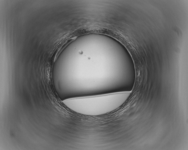 X0000111191348200907011000