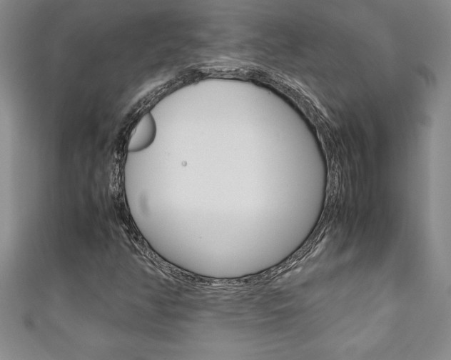 X0000111191350200907011000