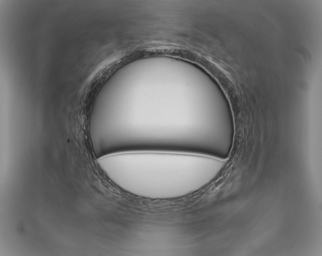 X0000111191351200907011000
