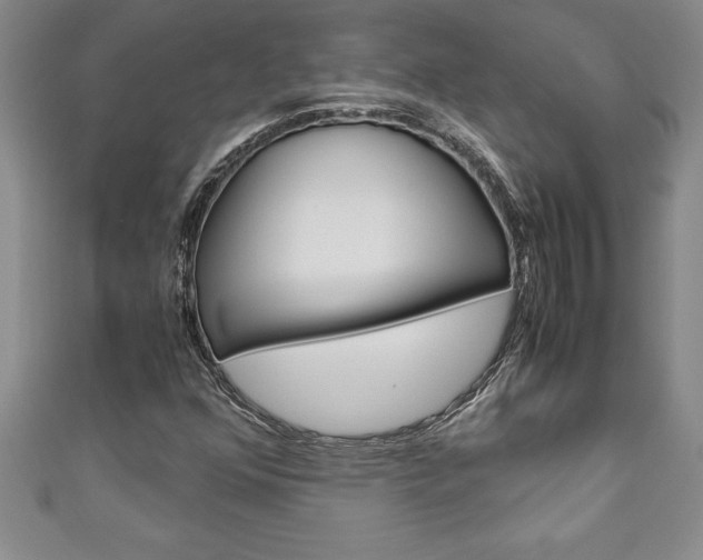 X0000111191352200907011000
