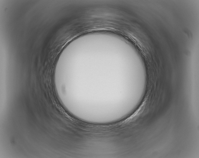 X0000111191353200907011000