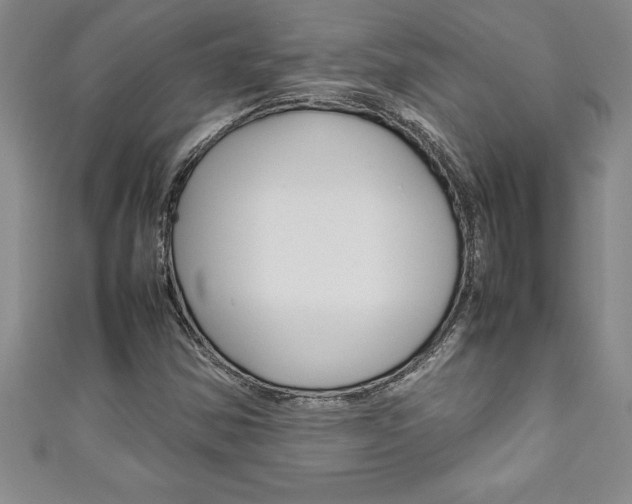 X0000111191354200907011000