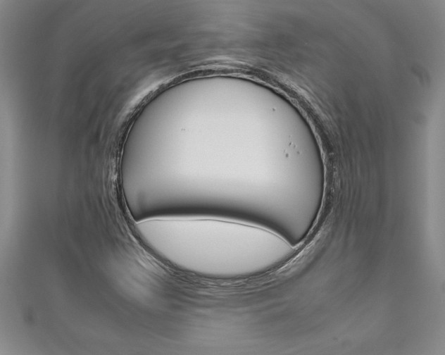 X0000111191355200907011000